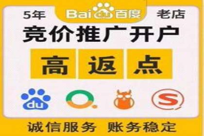 行业新秀的关键词竞价排名之路：快速崛起的案例